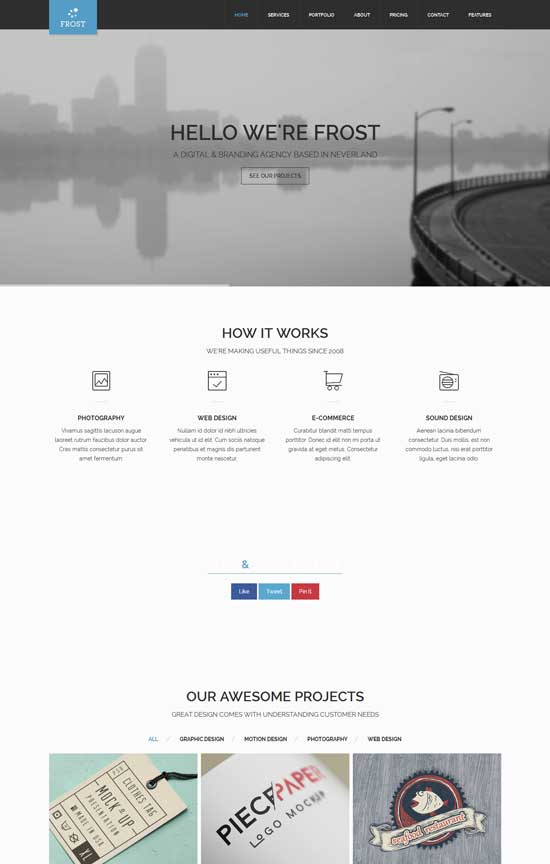 Frost-Multipurpose-One-Page-WordPress-Theme