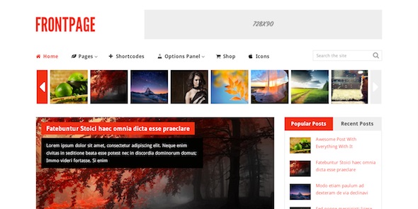 FrontPage Theme