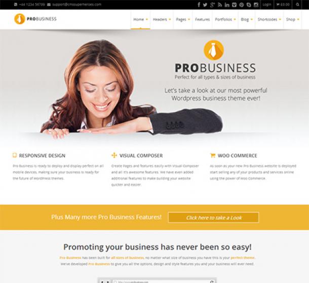 PRO-Business theme