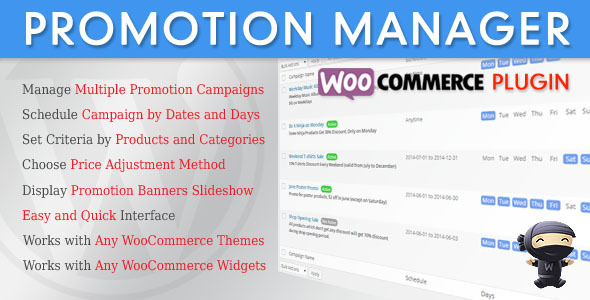 WooCommerce Promotion Manager
