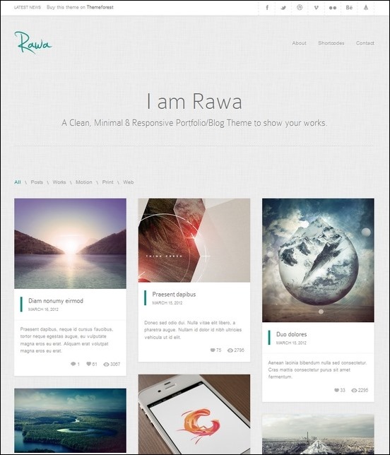 rawa WordPress theme