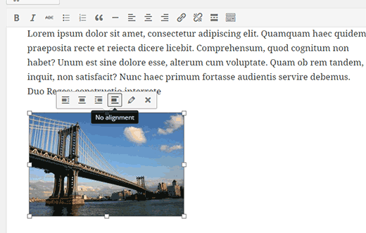 Inline Image Editing Toolbar