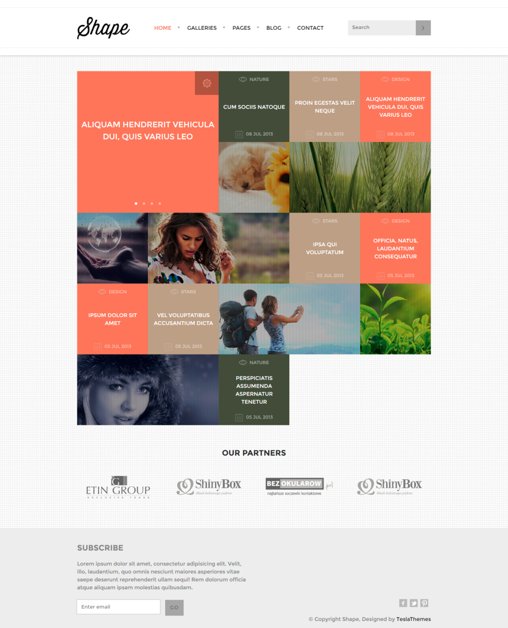 Shape Theme homepage