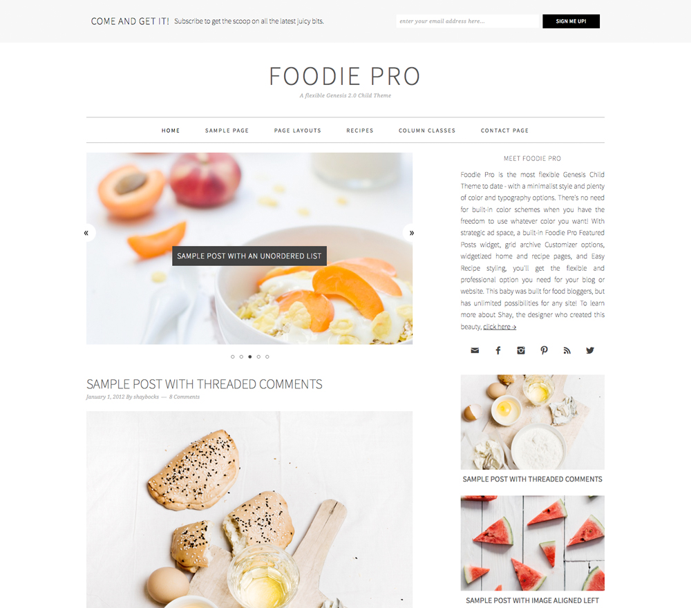 Foodie Pro theme home page